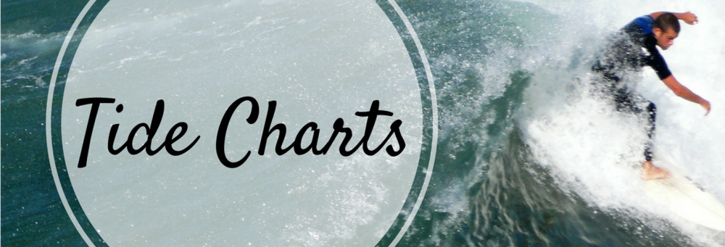 view-tide-charts-beachfront-only-vacation-rentals